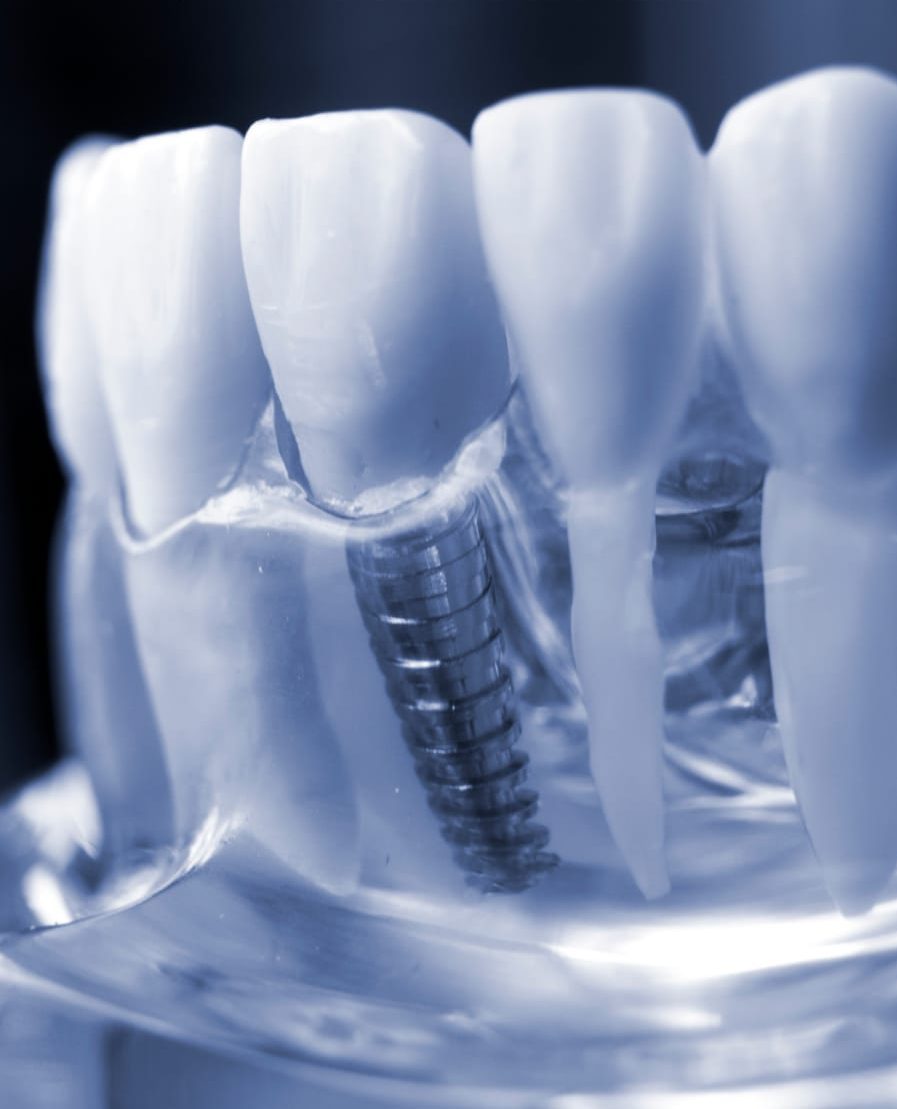 WhatsApp Image 2022-03-10 at 12.33.05 PM