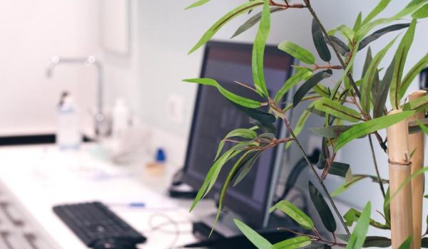 8251f2c7-9f5c-4fb8-96cc-5640fd59267e